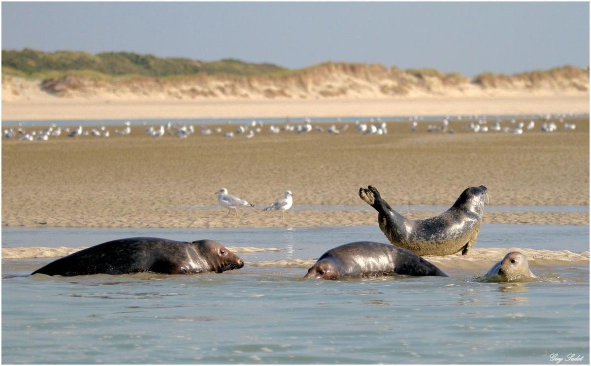 Face Mer Pieds Dans L'Eau Duplex 4 Chambres 155 M2 8-12 Personnes Berck 外观 照片